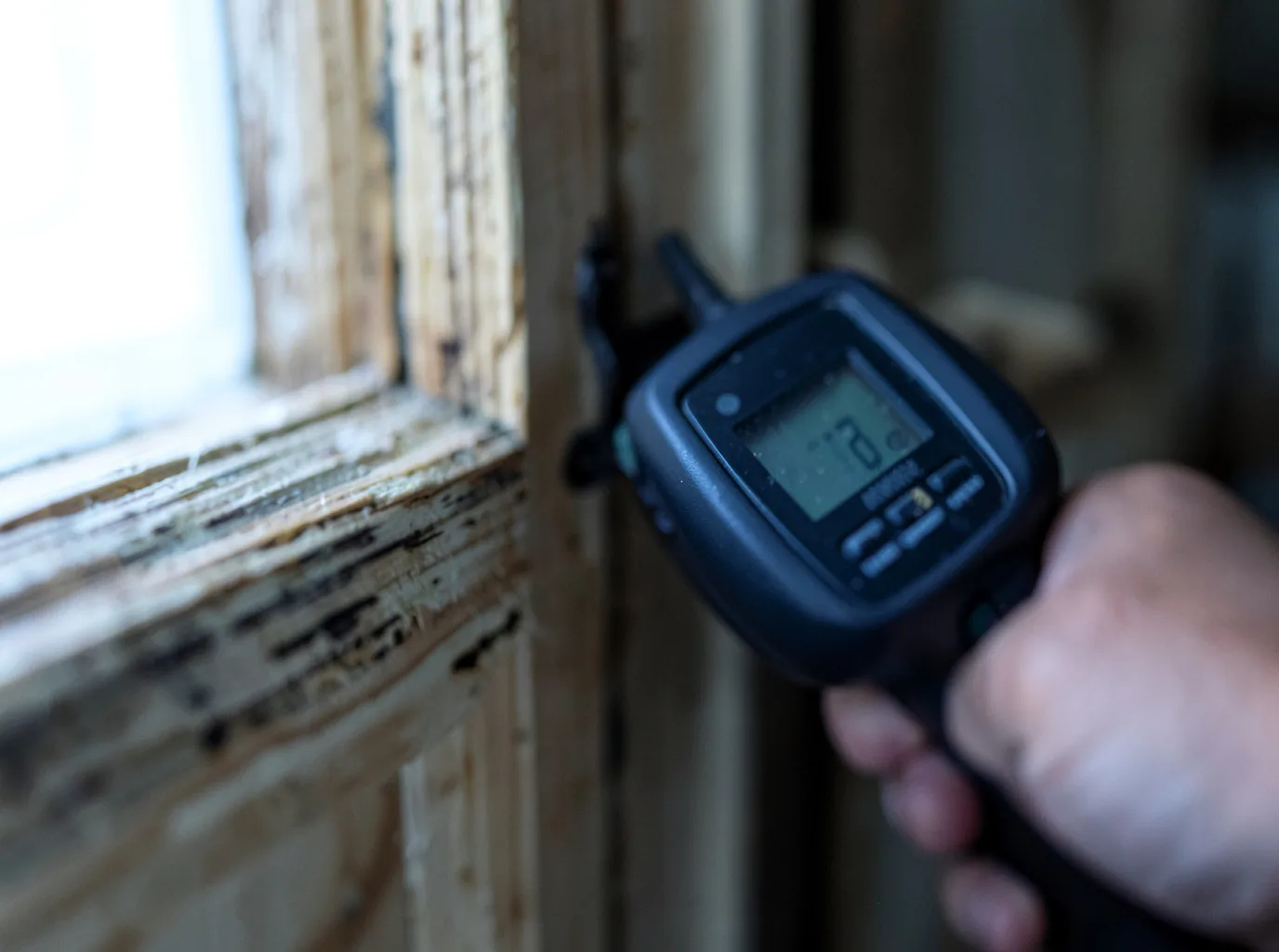 Moisture Inspection And Documentation in Naples, ID